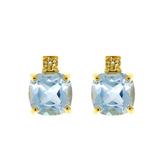 Blue Topaz & Citrine Earrings